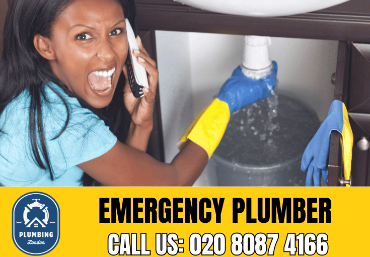 emergency plumber Wembley