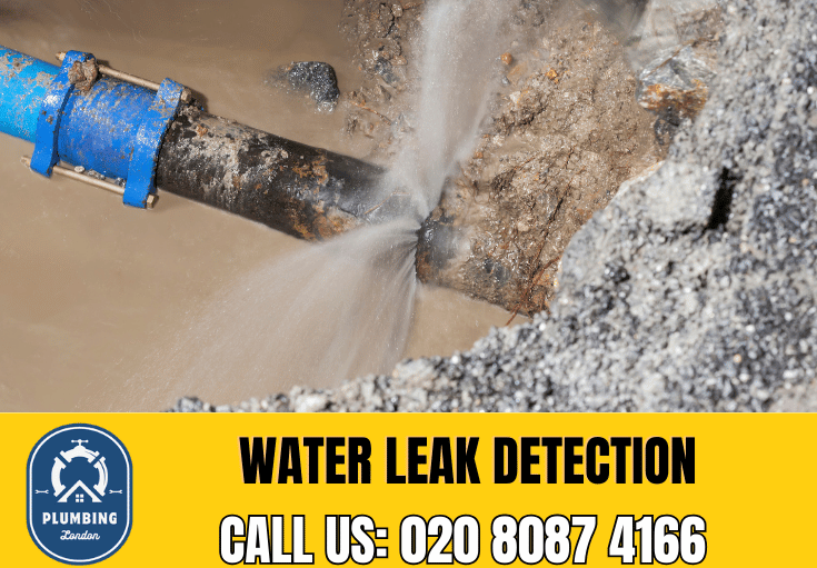 leak detection Wembley